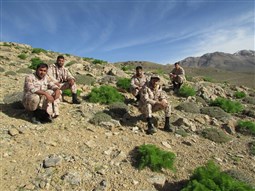 برنامه کوهنوردی سربازان با حضور فرمانده ناحیه ومسئول حوزه نمایندگی ولی فقیه و تعدادی ازپرسنل ناحیه